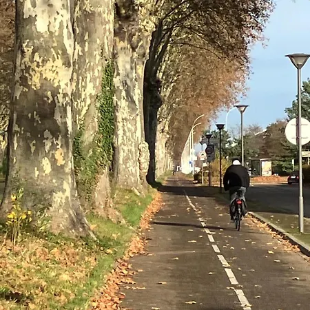 Cosy Illkirch 斯特拉斯堡