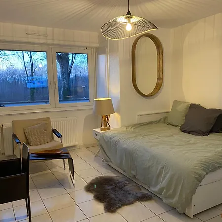Cosy Illkirch شقة