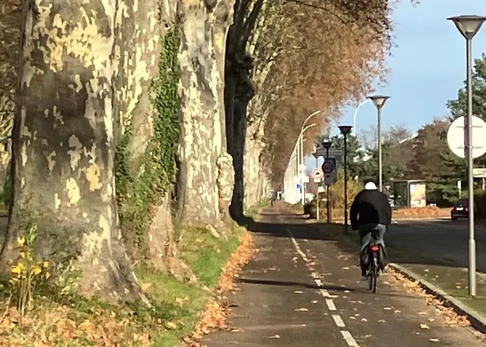 Cosy Illkirch Strazburg