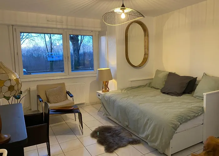 Cosy Illkirch Apartment